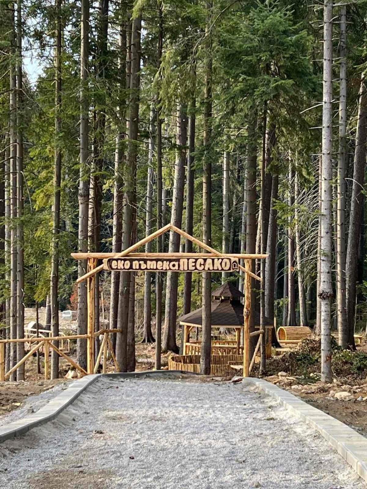 Arboro Borovets Gardens E43 Apartment Bagian luar foto